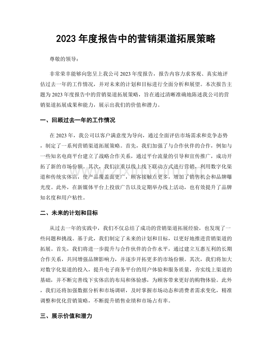 2023年度报告中的营销渠道拓展策略.docx_第1页