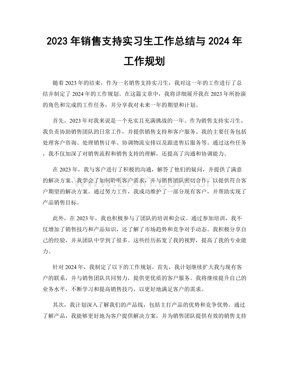 2023年销售支持实习生工作总结与2024年工作规划.docx_第1页