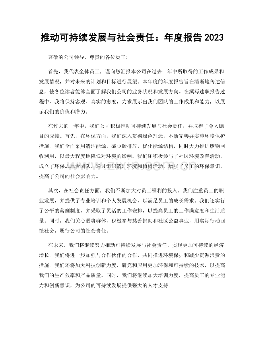 推动可持续发展与社会责任：年度报告2023.docx_第1页