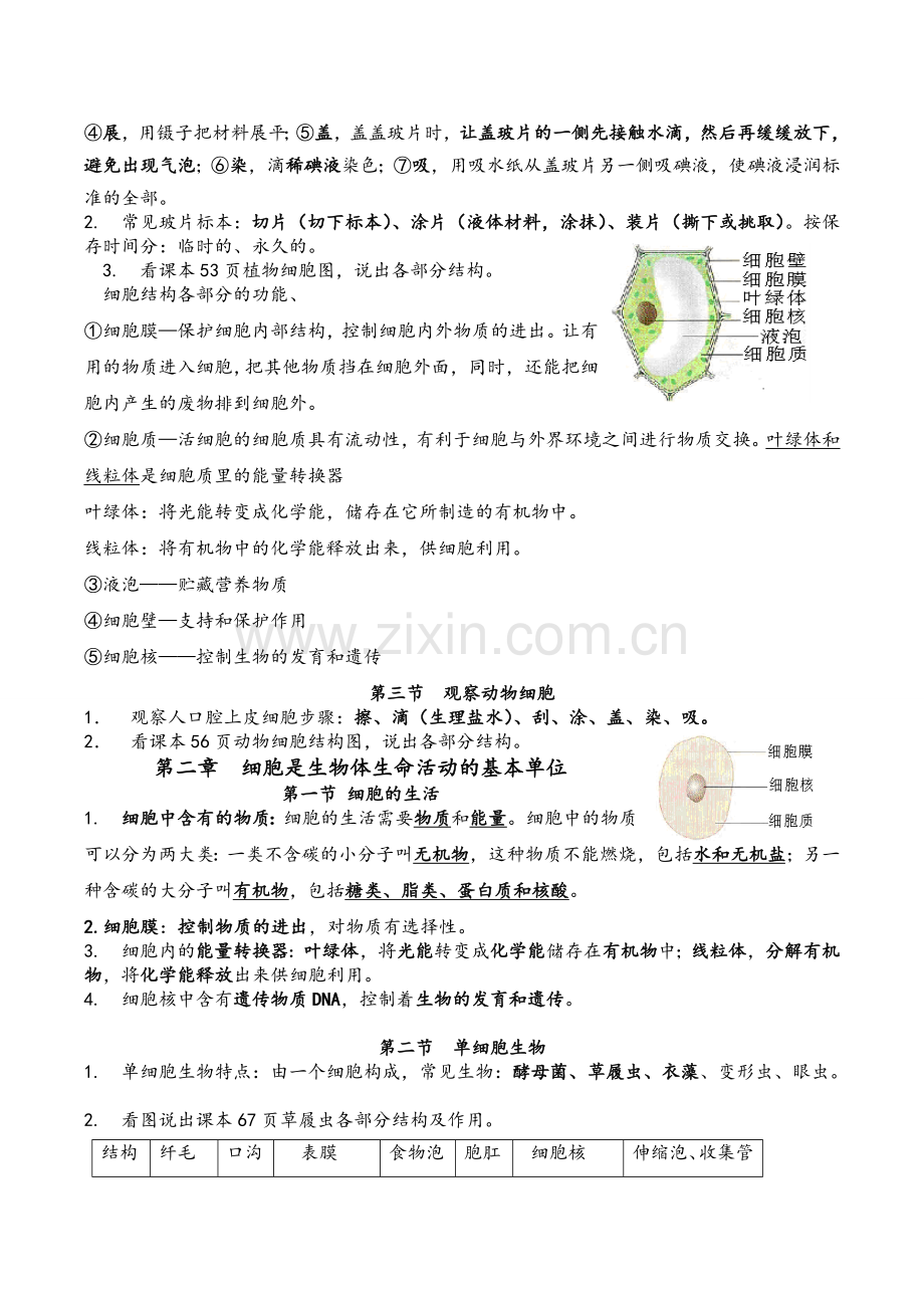 鲁科版六年级生物上册知识点汇总.doc_第3页