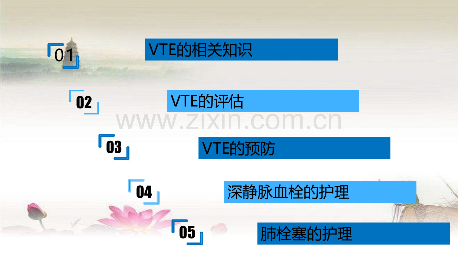 VTE的预防和的护理-PPT.ppt_第2页