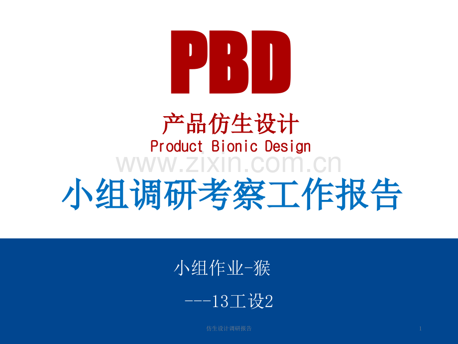 仿生设计调研报告.ppt_第1页