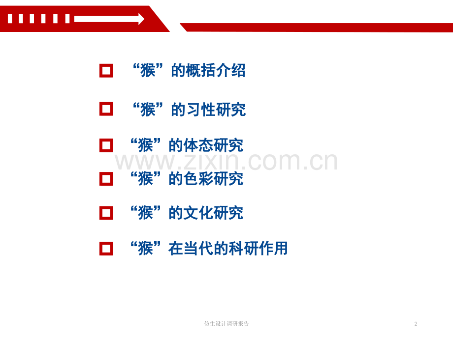 仿生设计调研报告.ppt_第2页