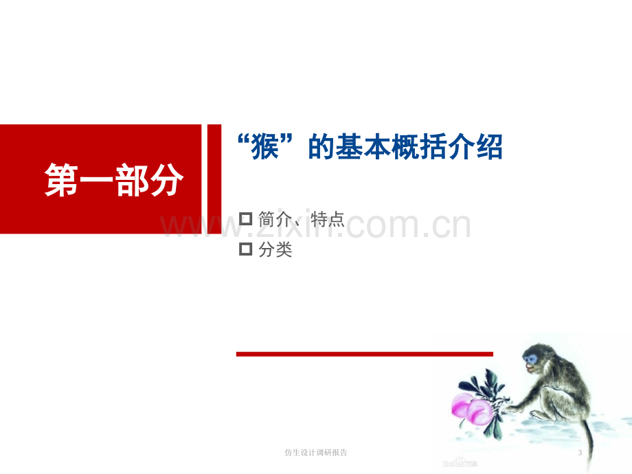 仿生设计调研报告.ppt_第3页