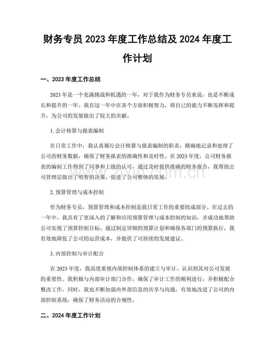 财务专员2023年度工作总结及2024年度工作计划.docx_第1页