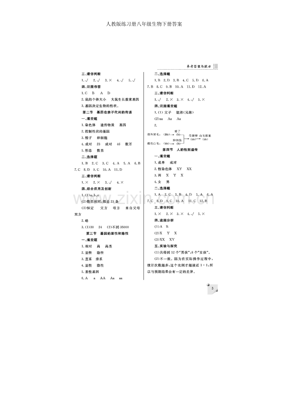 人教版练习册八年级生物下册答案.doc_第3页