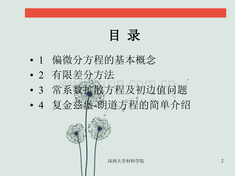 偏微分方程演讲稿.ppt_第2页