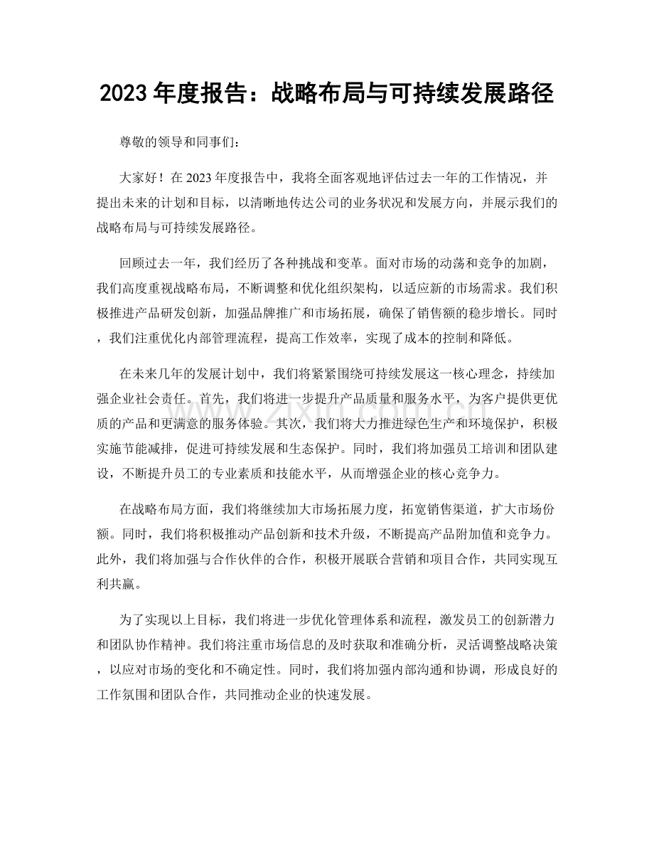 2023年度报告：战略布局与可持续发展路径.docx_第1页