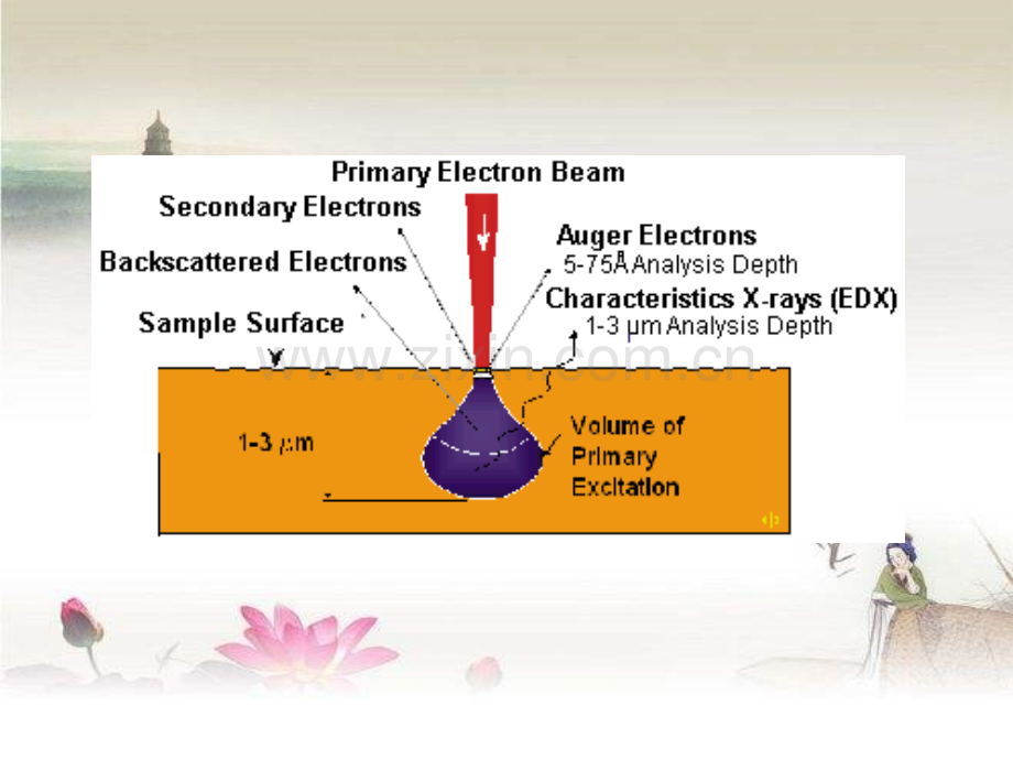 X射线能量色散谱-EDS-PPT.ppt_第3页