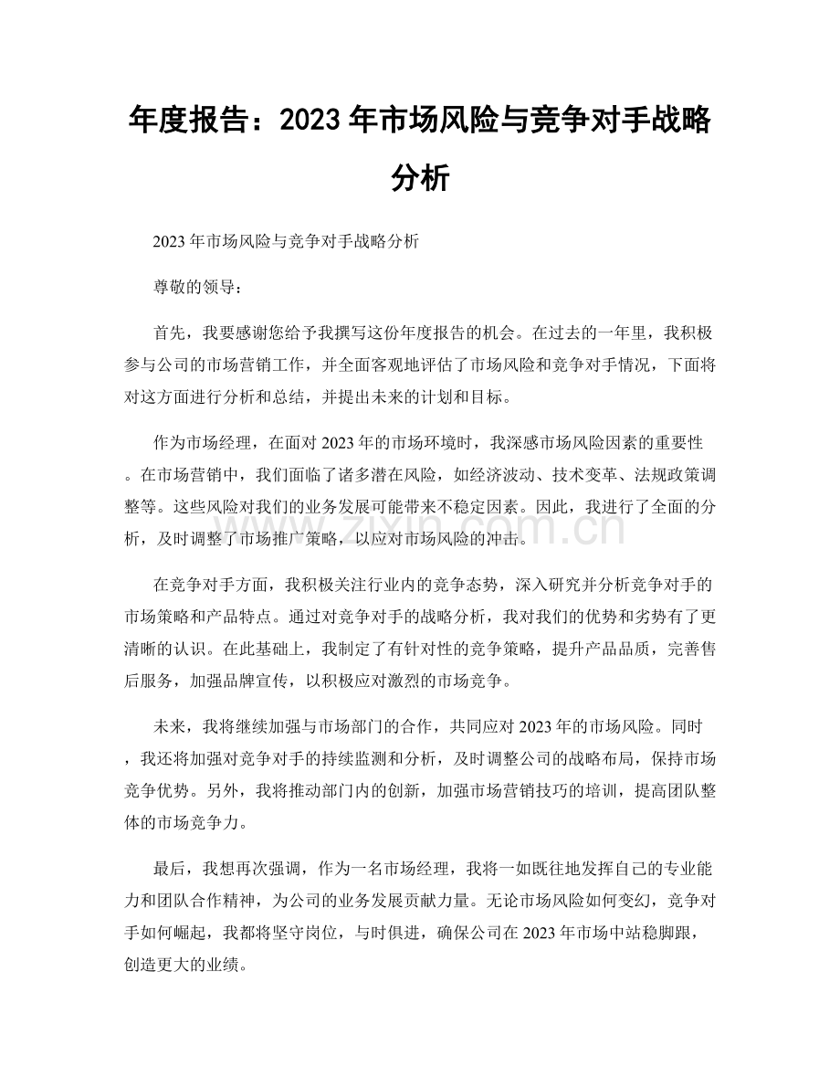 年度报告：2023年市场风险与竞争对手战略分析.docx_第1页