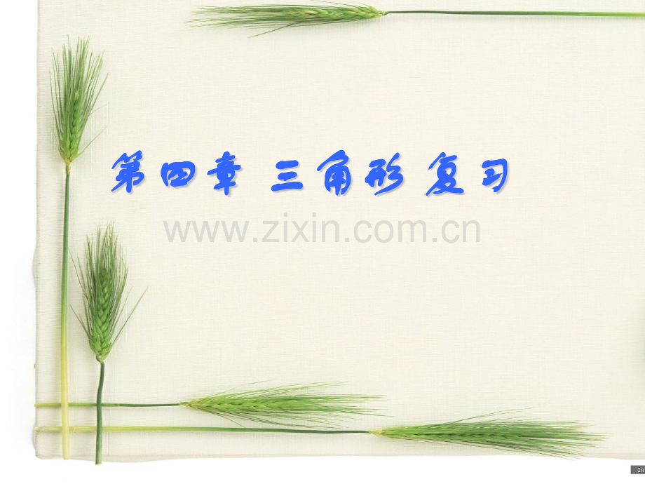 新北师大版七下三角形复习.pptx_第1页