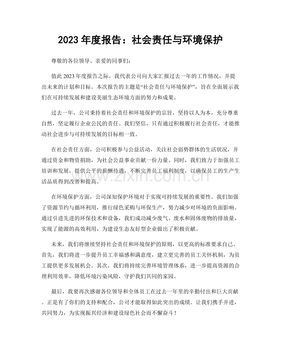 2023年度报告：社会责任与环境保护.docx_第1页