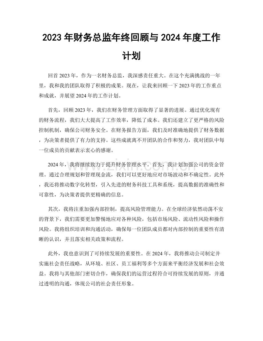 2023年财务总监年终回顾与2024年度工作计划.docx_第1页