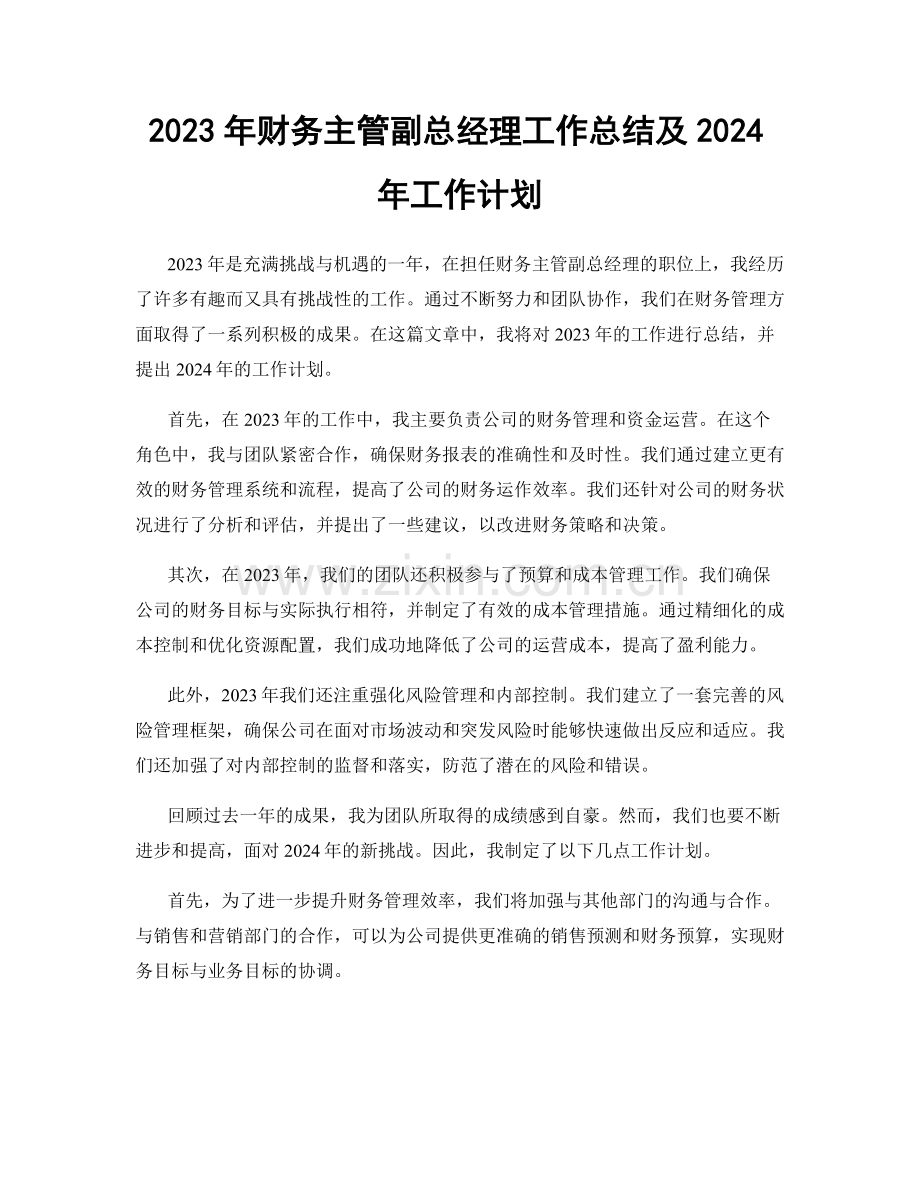 2023年财务主管副总经理工作总结及2024年工作计划.docx_第1页