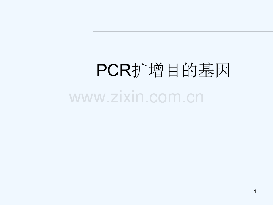 PCR扩增目的基因.ppt_第1页