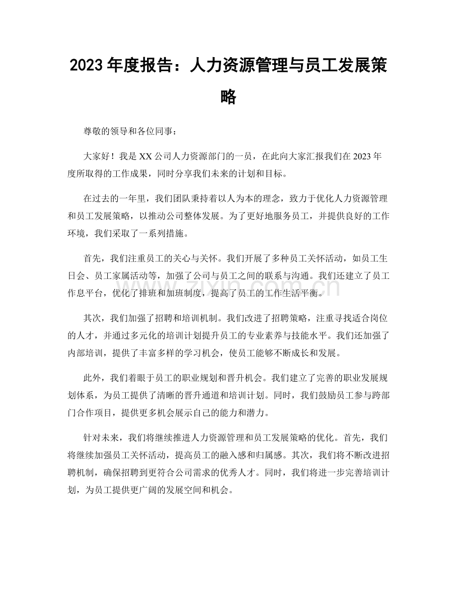 2023年度报告：人力资源管理与员工发展策略.docx_第1页