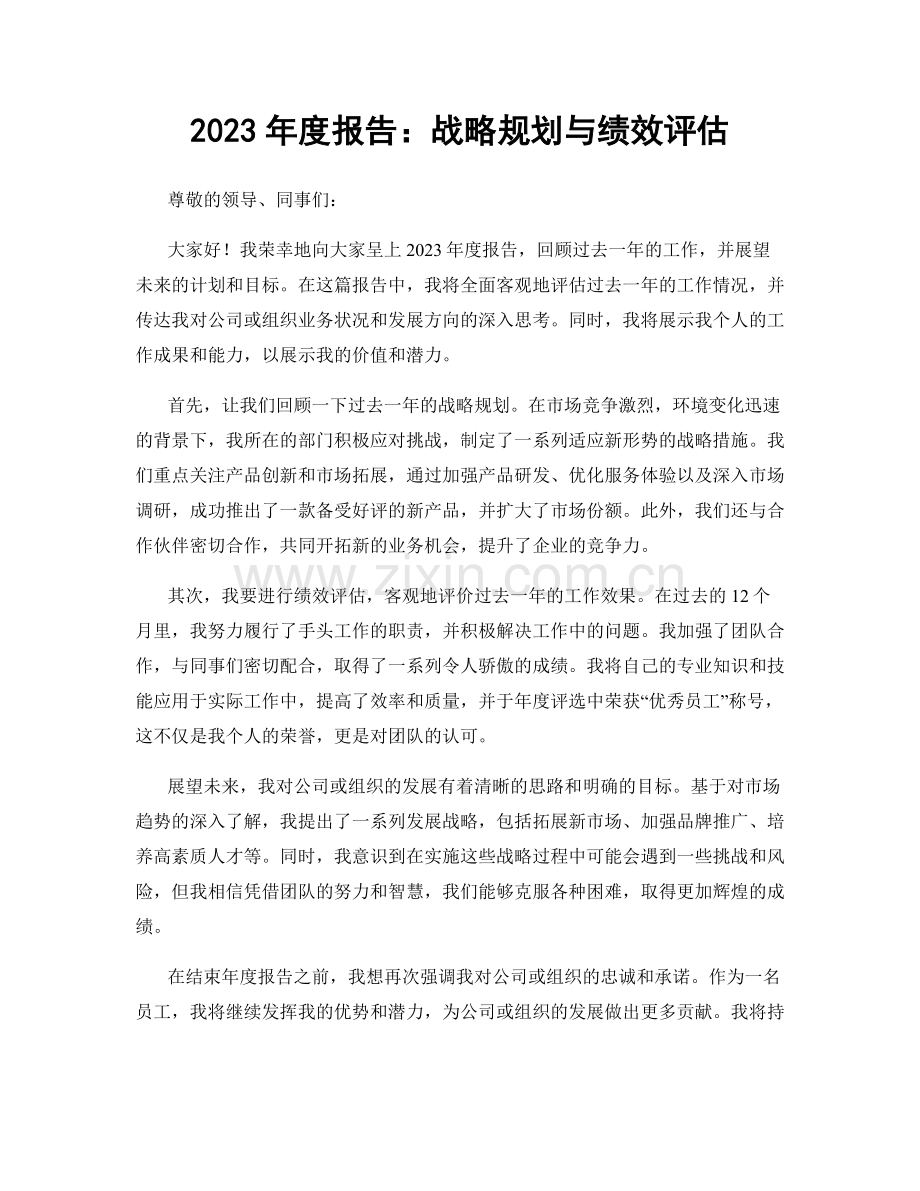 2023年度报告：战略规划与绩效评估.docx_第1页