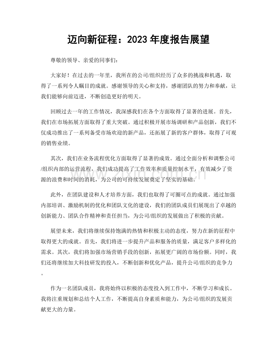 迈向新征程：2023年度报告展望.docx_第1页