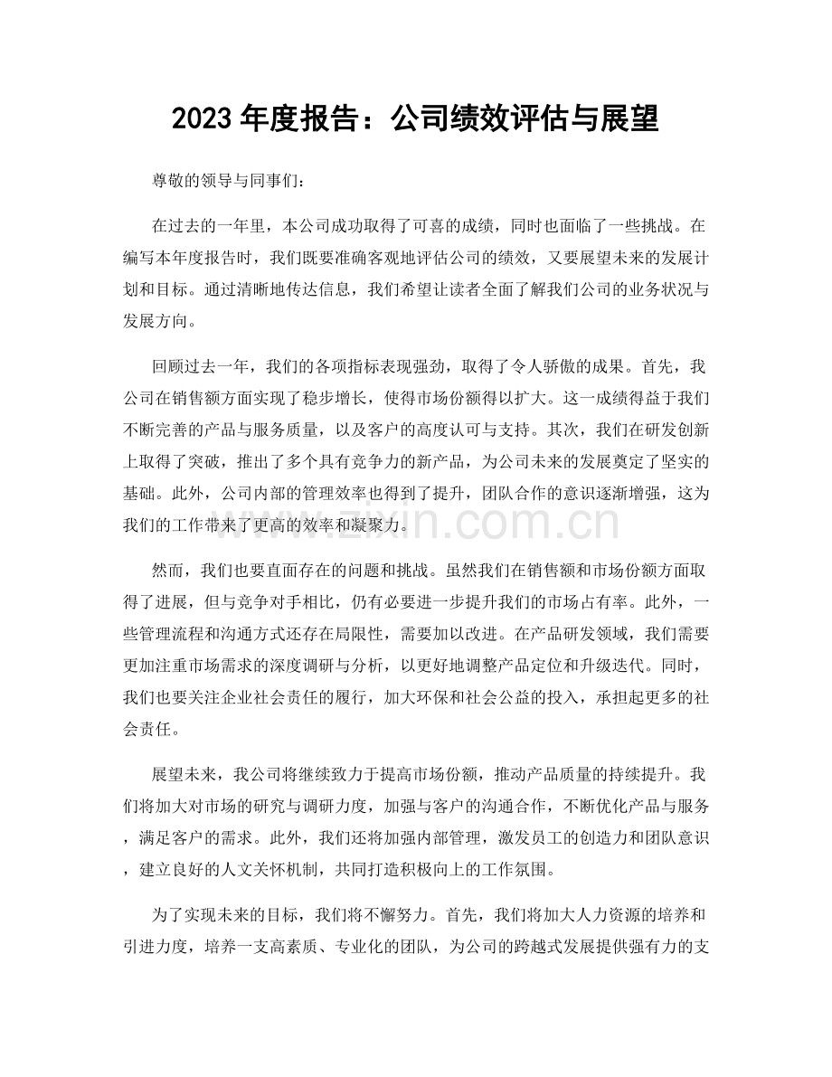 2023年度报告：公司绩效评估与展望.docx_第1页