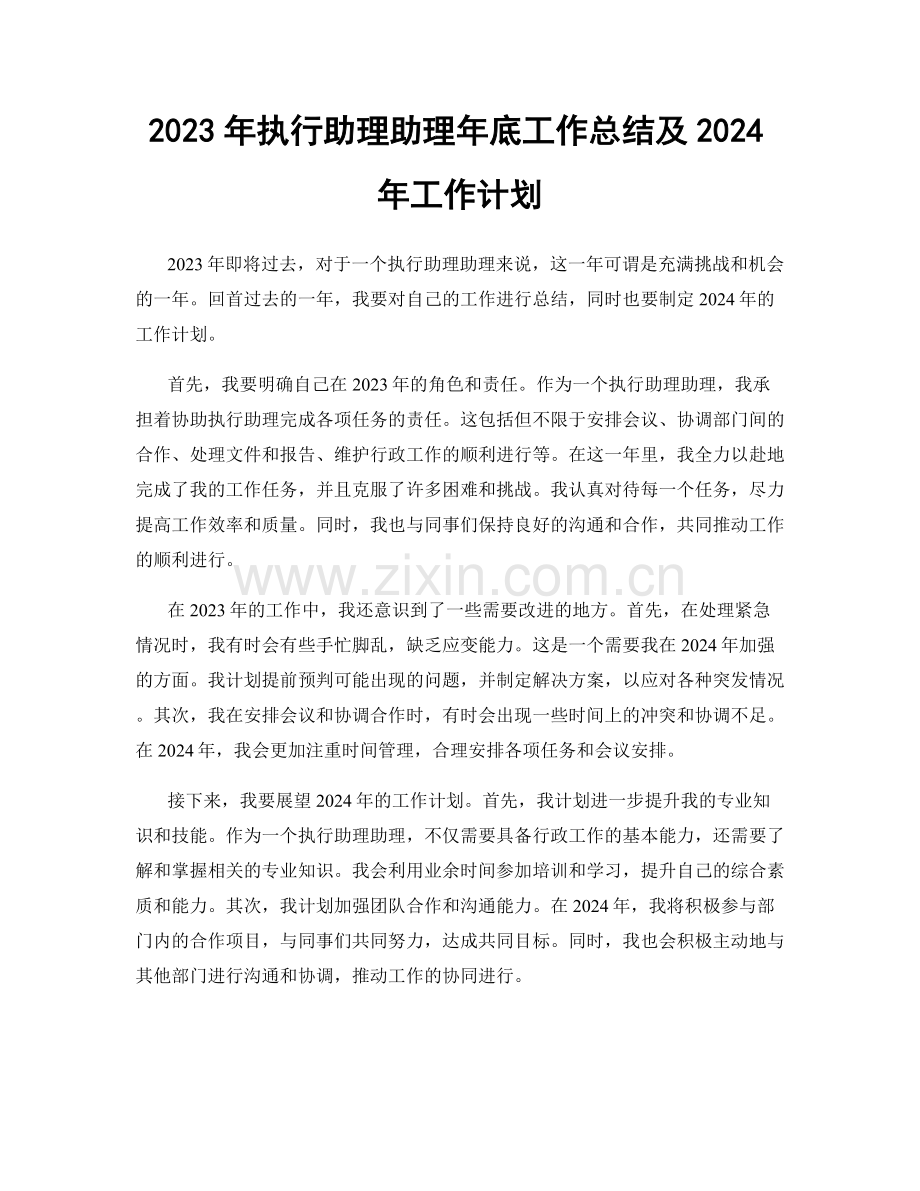 2023年执行助理助理年底工作总结及2024年工作计划.docx_第1页