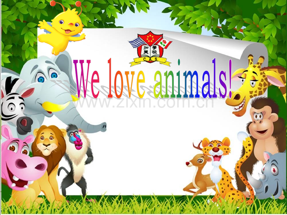 Weloveanimals优质公开课.pptx_第1页