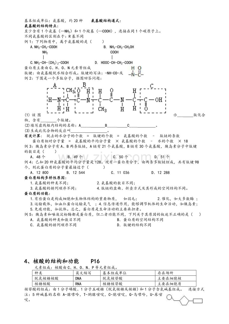 高二生物学考复习(学案).doc_第2页