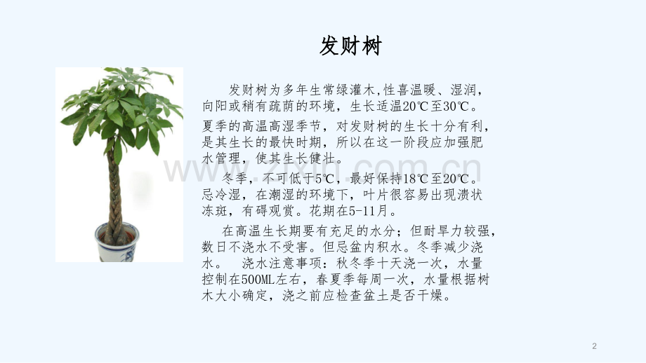 常见植物习性.ppt_第2页