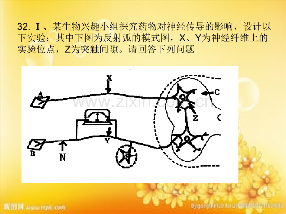 高二生物必修三实验专题训练.ppt_第3页