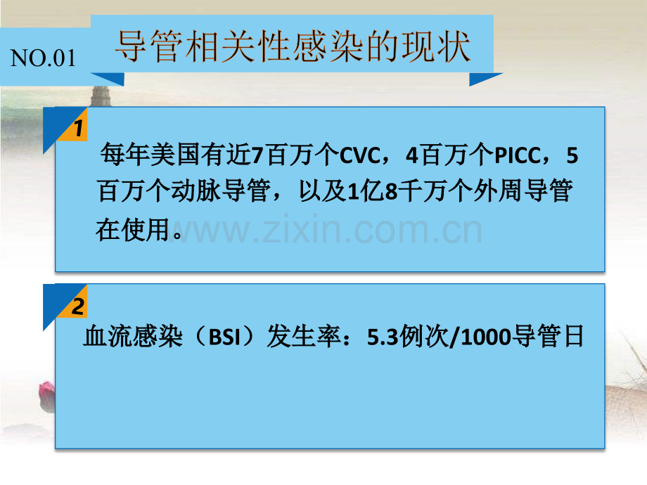 中心静脉导管相关血流感染预防策略.ppt_第3页