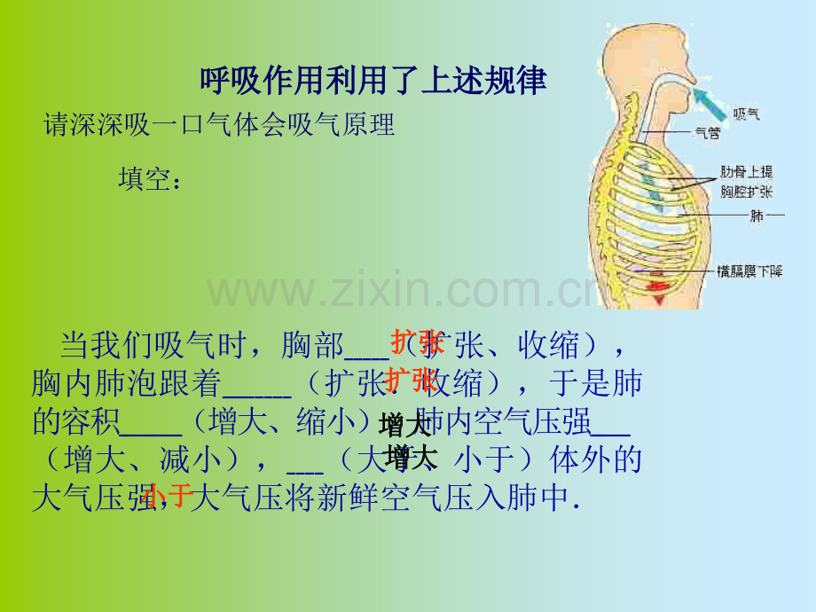 初三物理上学期气体的压强跟体积的关系旧人教版.pptx_第3页