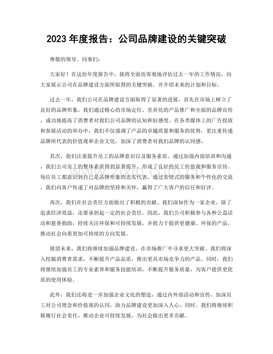 2023年度报告：公司品牌建设的关键突破.docx_第1页