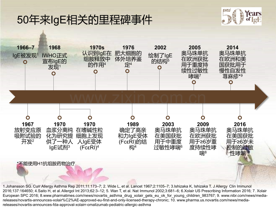 IgE与哮喘的发病机制ppt.ppt_第3页