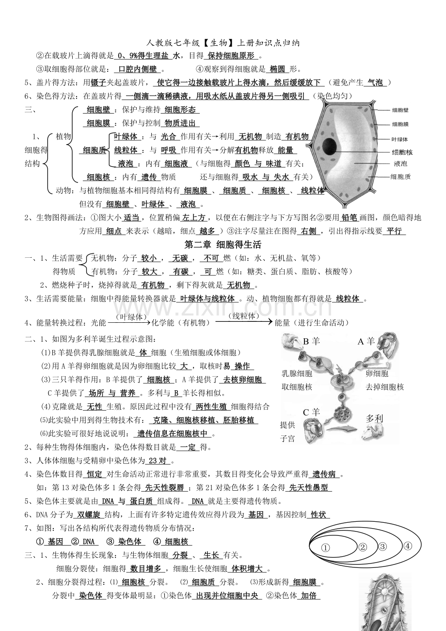 人教版七年级【生物】上册知识点归纳.doc_第3页