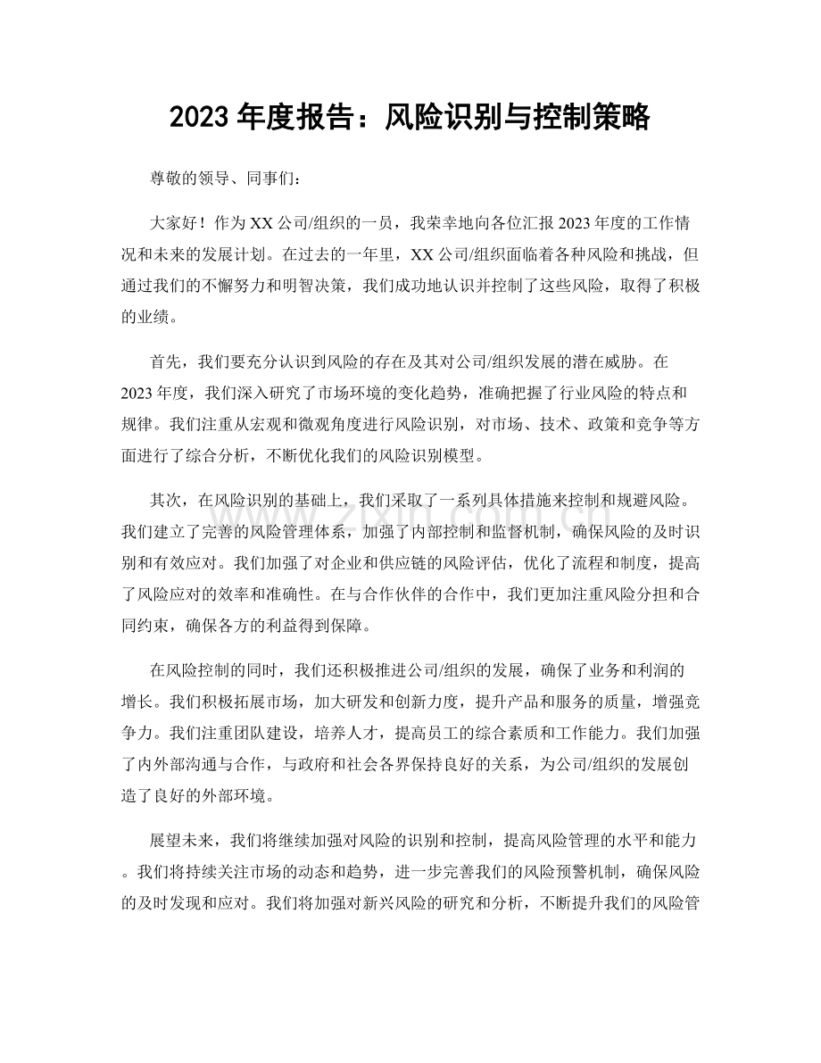 2023年度报告：风险识别与控制策略.docx_第1页