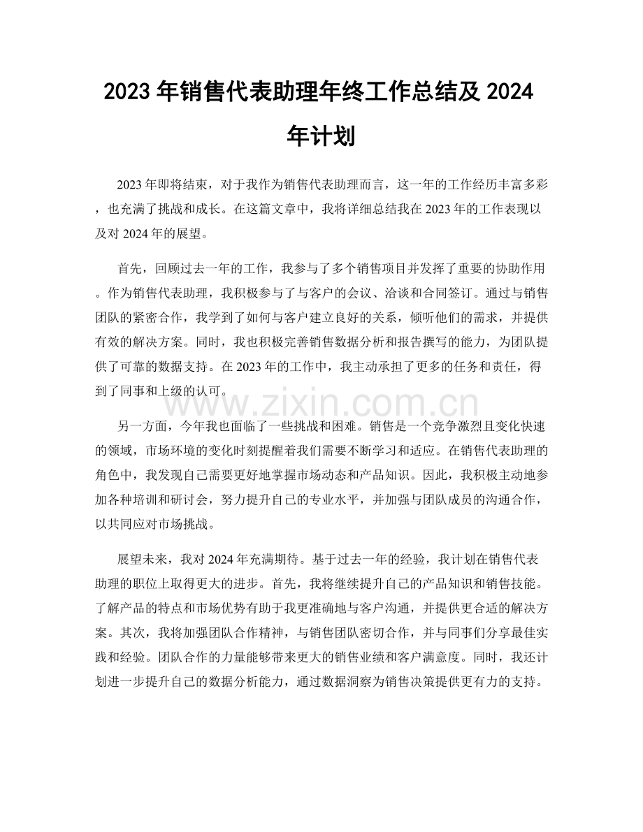 2023年销售代表助理年终工作总结及2024年计划.docx_第1页