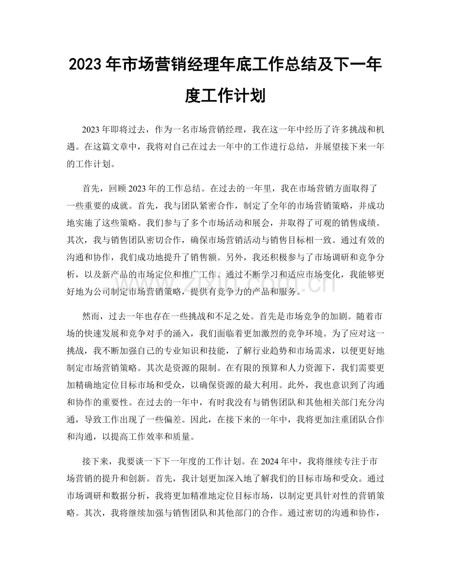 2023年市场营销经理年底工作总结及下一年度工作计划.docx_第1页