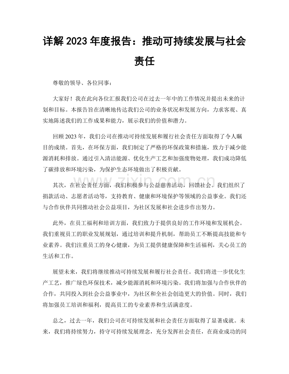 详解2023年度报告：推动可持续发展与社会责任.docx_第1页