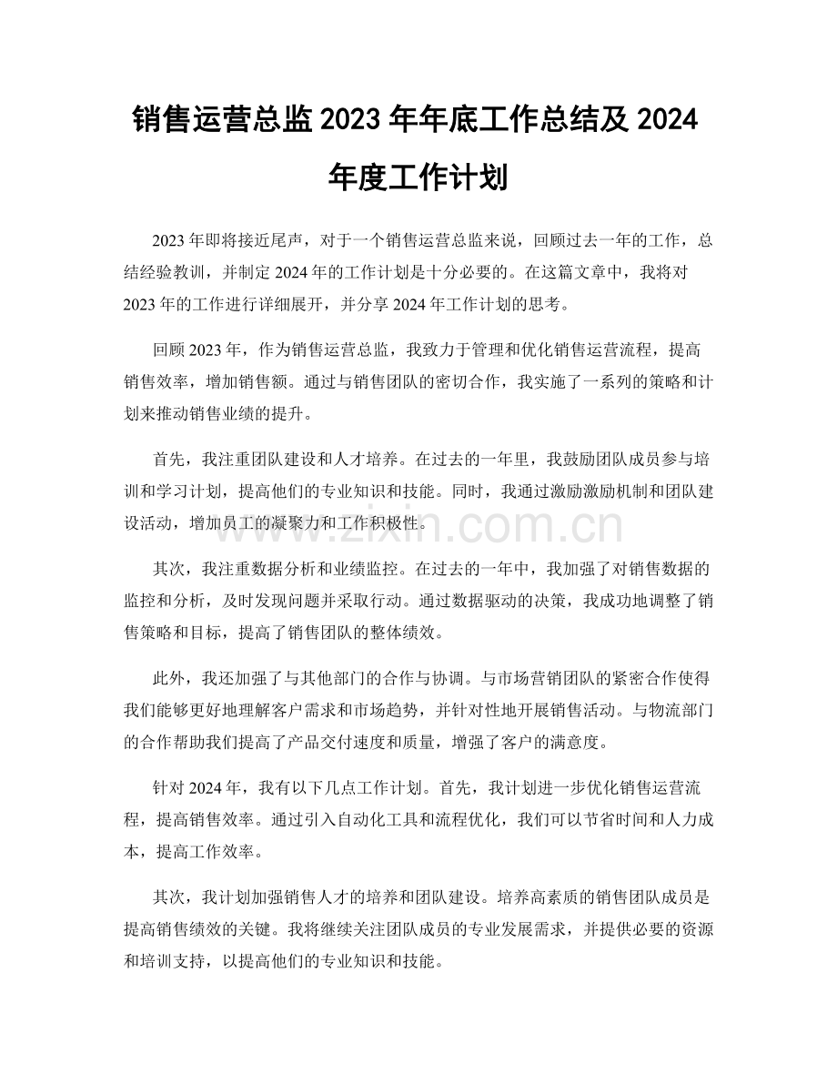 销售运营总监2023年年底工作总结及2024年度工作计划.docx_第1页