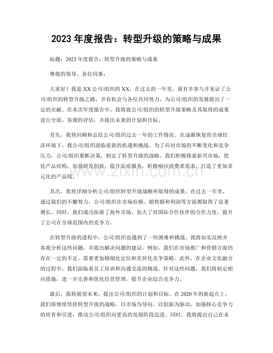 2023年度报告：转型升级的策略与成果.docx_第1页