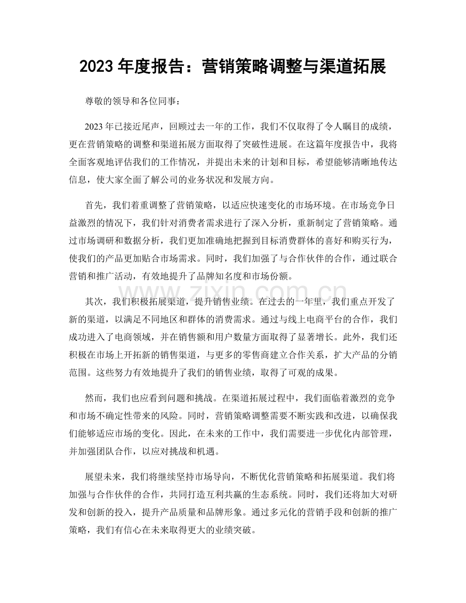 2023年度报告：营销策略调整与渠道拓展.docx_第1页