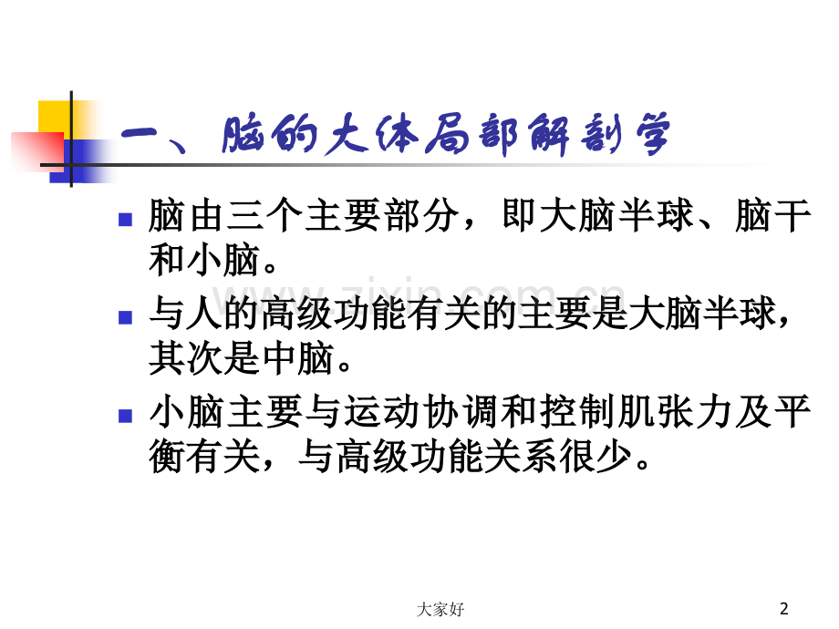 大脑的结构和功能.ppt_第2页