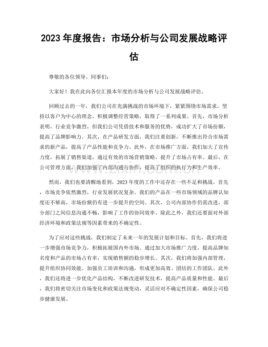 2023年度报告：市场分析与公司发展战略评估.docx_第1页