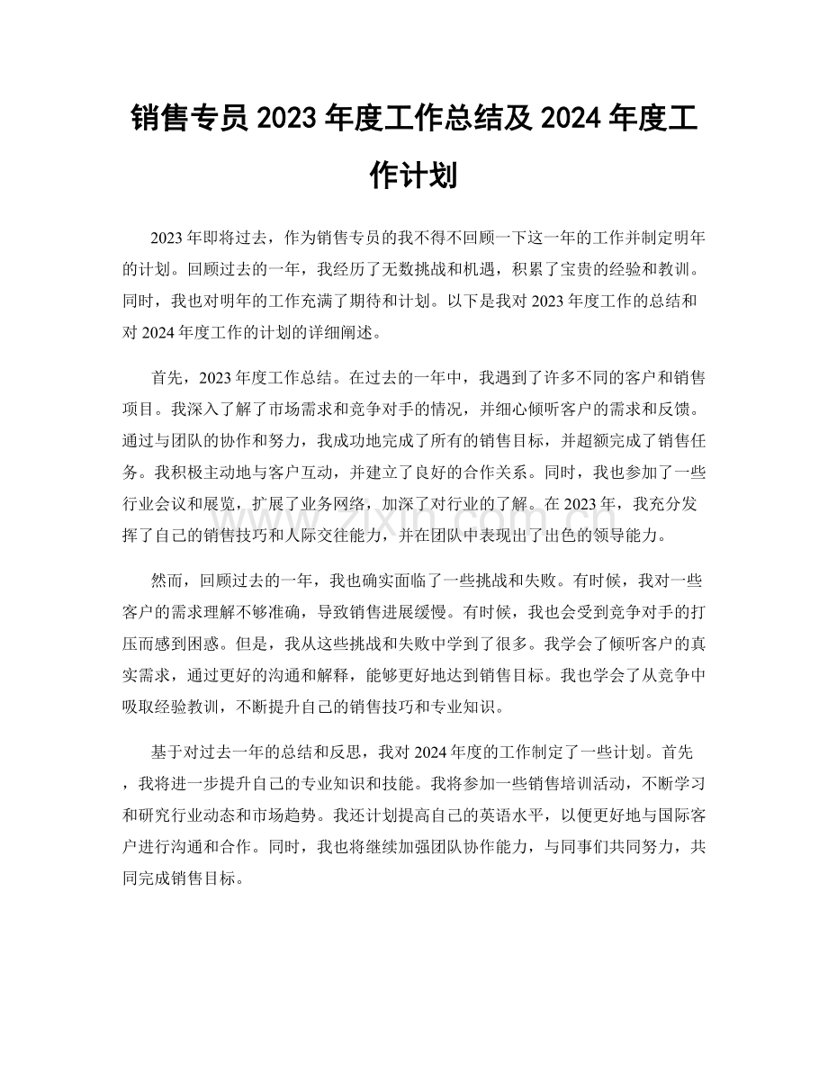 销售专员2023年度工作总结及2024年度工作计划.docx_第1页