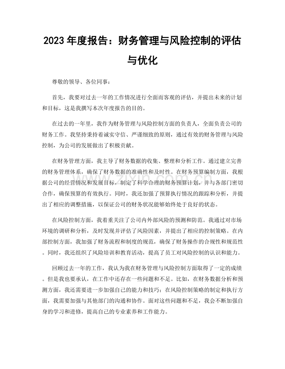 2023年度报告：财务管理与风险控制的评估与优化.docx_第1页