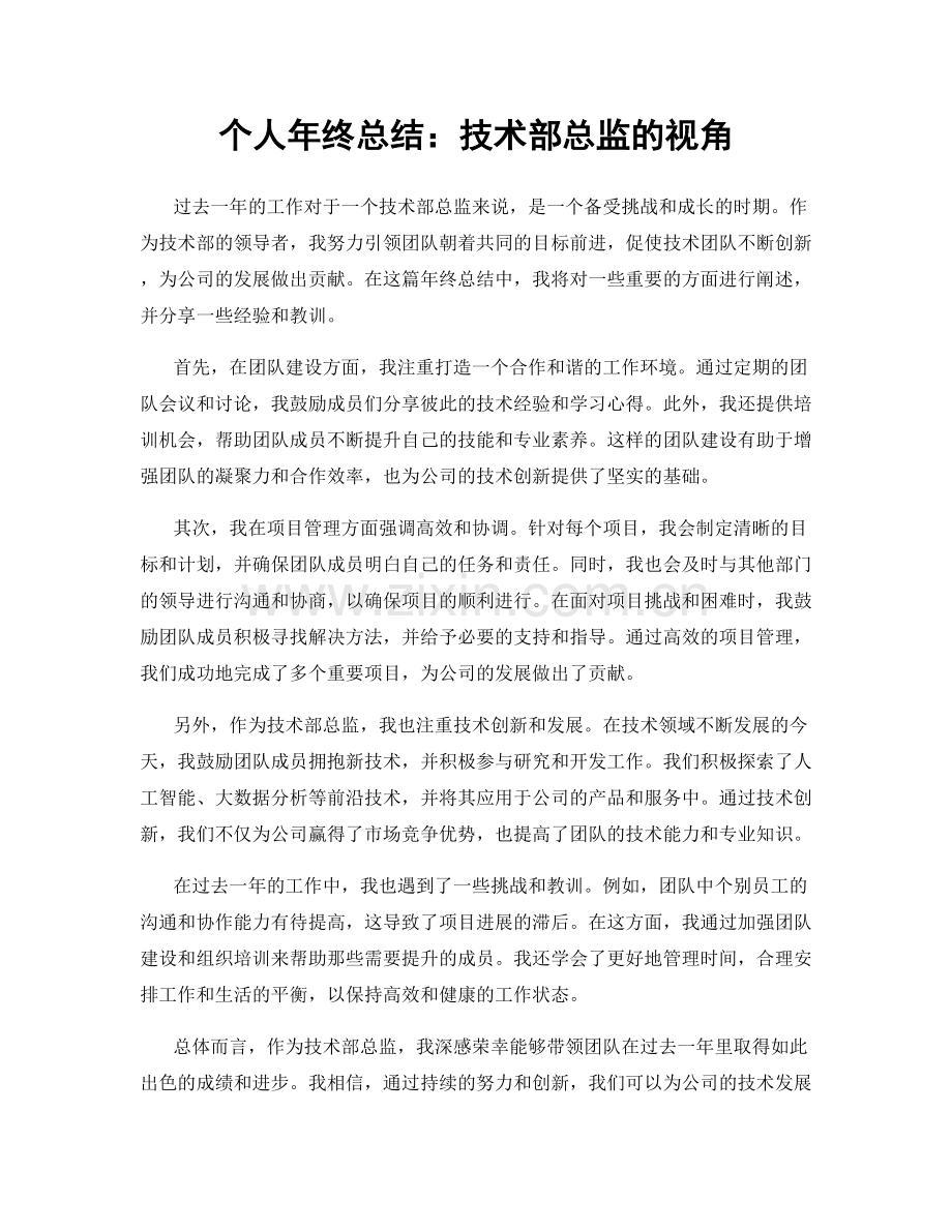 个人年终总结：技术部总监的视角.docx_第1页