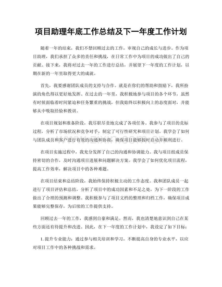 项目助理年底工作总结及下一年度工作计划.docx_第1页