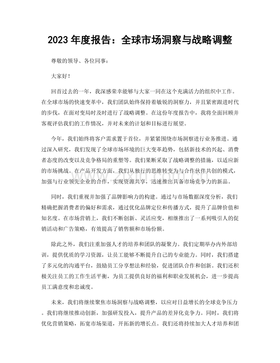 2023年度报告：全球市场洞察与战略调整.docx_第1页