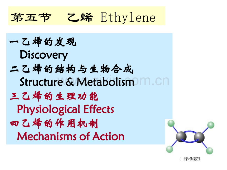 第十二章乙烯.pptx_第2页