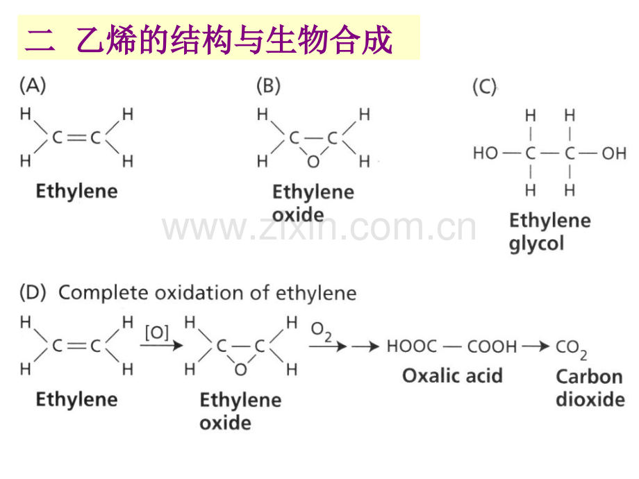 第十二章乙烯.pptx_第3页