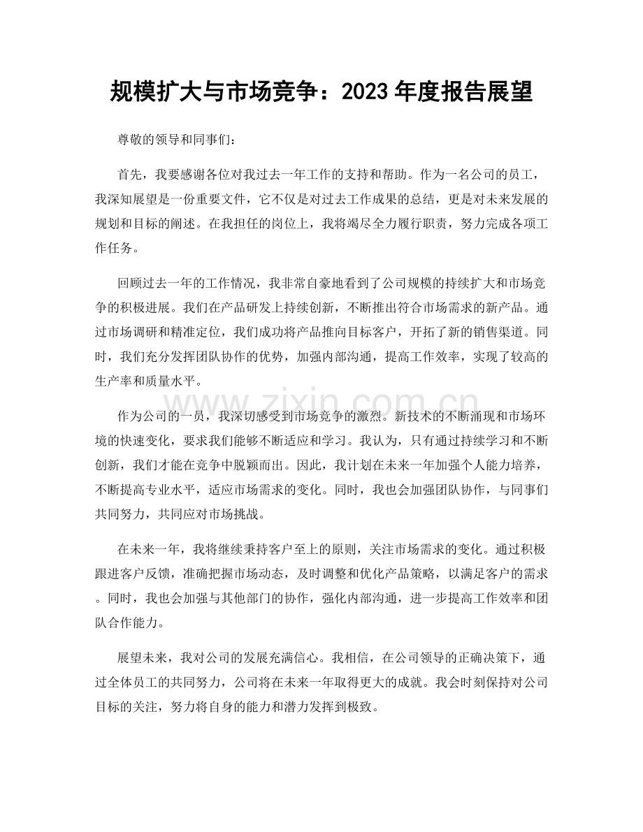 规模扩大与市场竞争：2023年度报告展望.docx_第1页